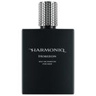Harmoniq Men Horizon woda perfumowana 100 ml