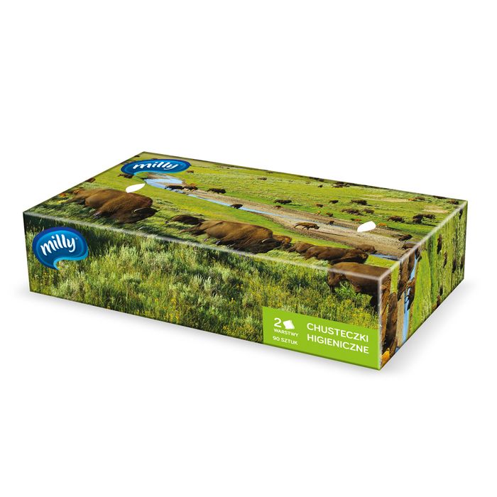 Chusteczki Higieniczne Pudełko Bizony 90 szt. main product photo